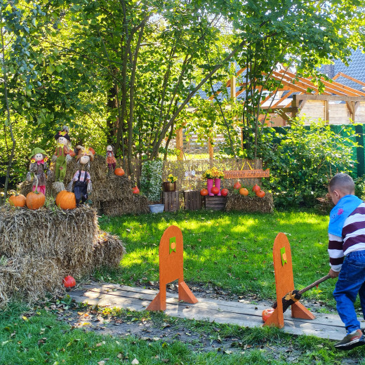 Wycieczka Alpaki Tulaki – Motyle