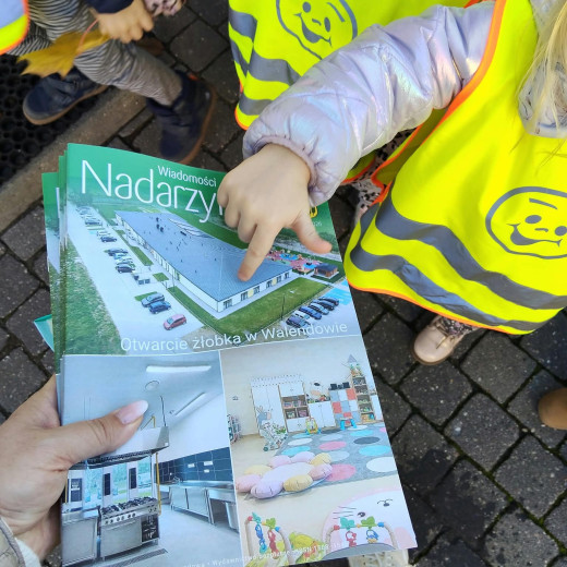 Żabki w warzywniaku Pani Zosi – kisimy ogórki