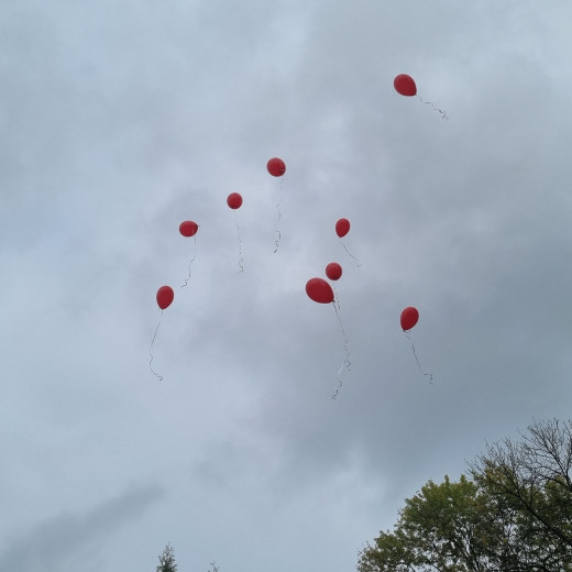Czerwone baloniki i Kraina Pamięci! – Biedronki