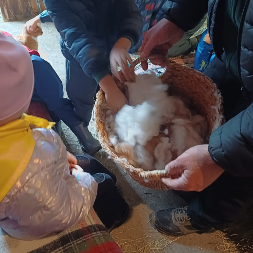 Alpaki Tulaki – Pszczółki i Żabki
