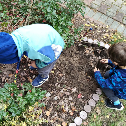 Sadzimy „Tulipany Mocy” – Żabki