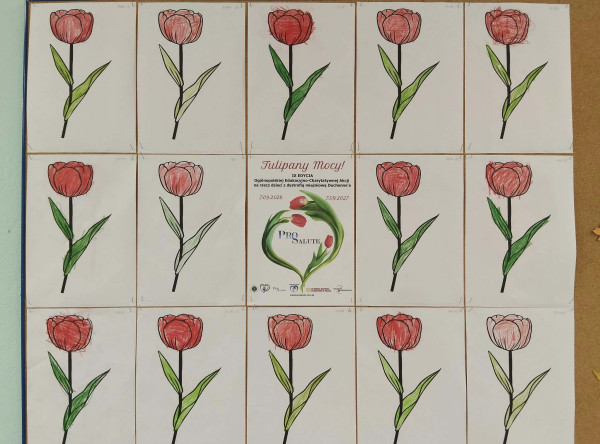 Sadzimy „Tulipany Mocy” – Żabki
