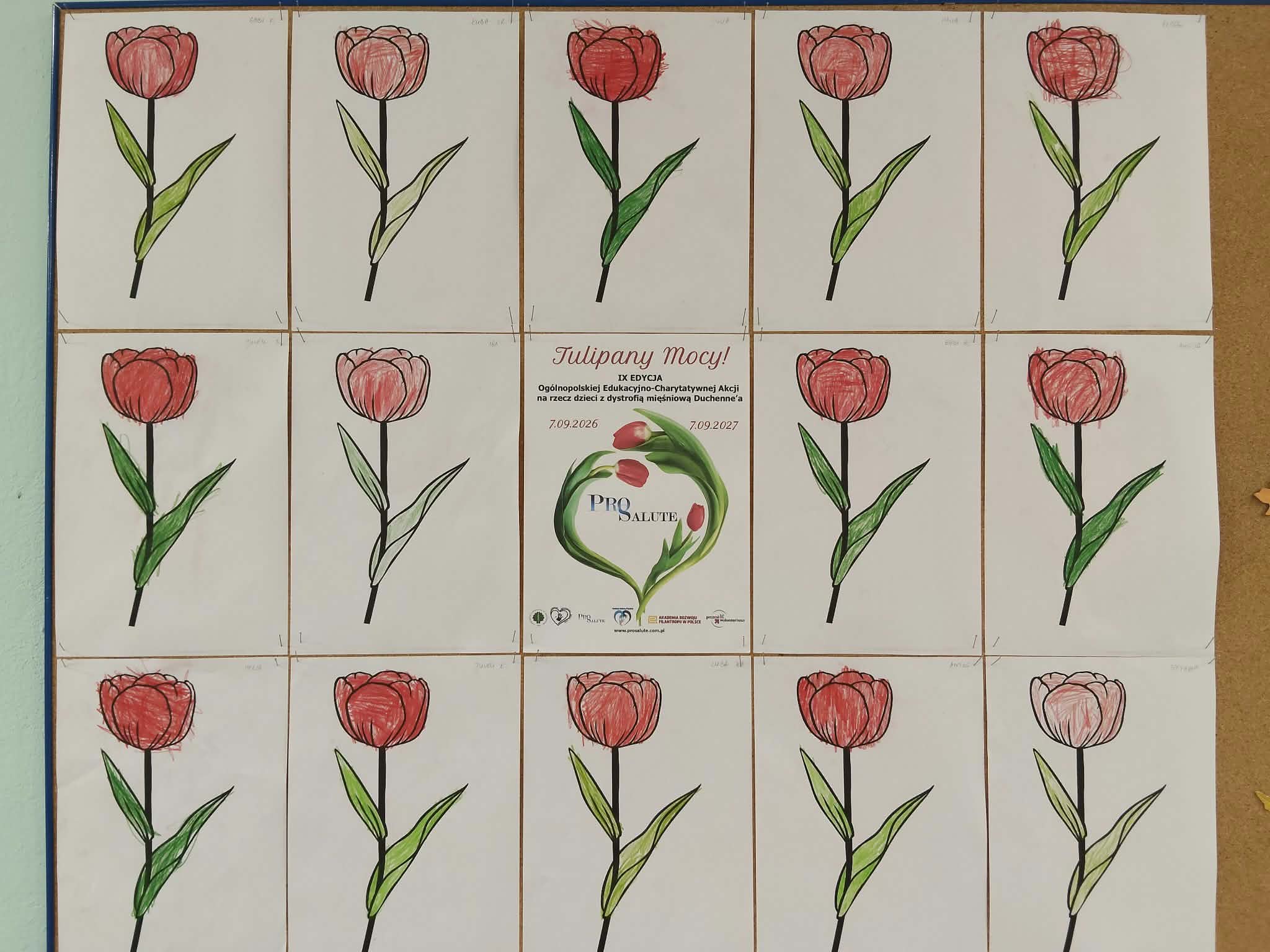 Sadzimy „Tulipany Mocy” – Żabki