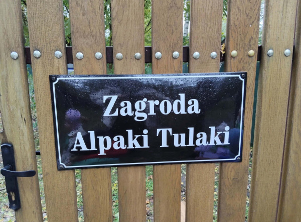 Alpaki Tulaki – Pszczółki i Żabki