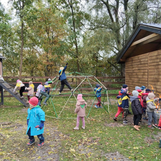 Alpaki Tulaki – Pszczółki i Żabki