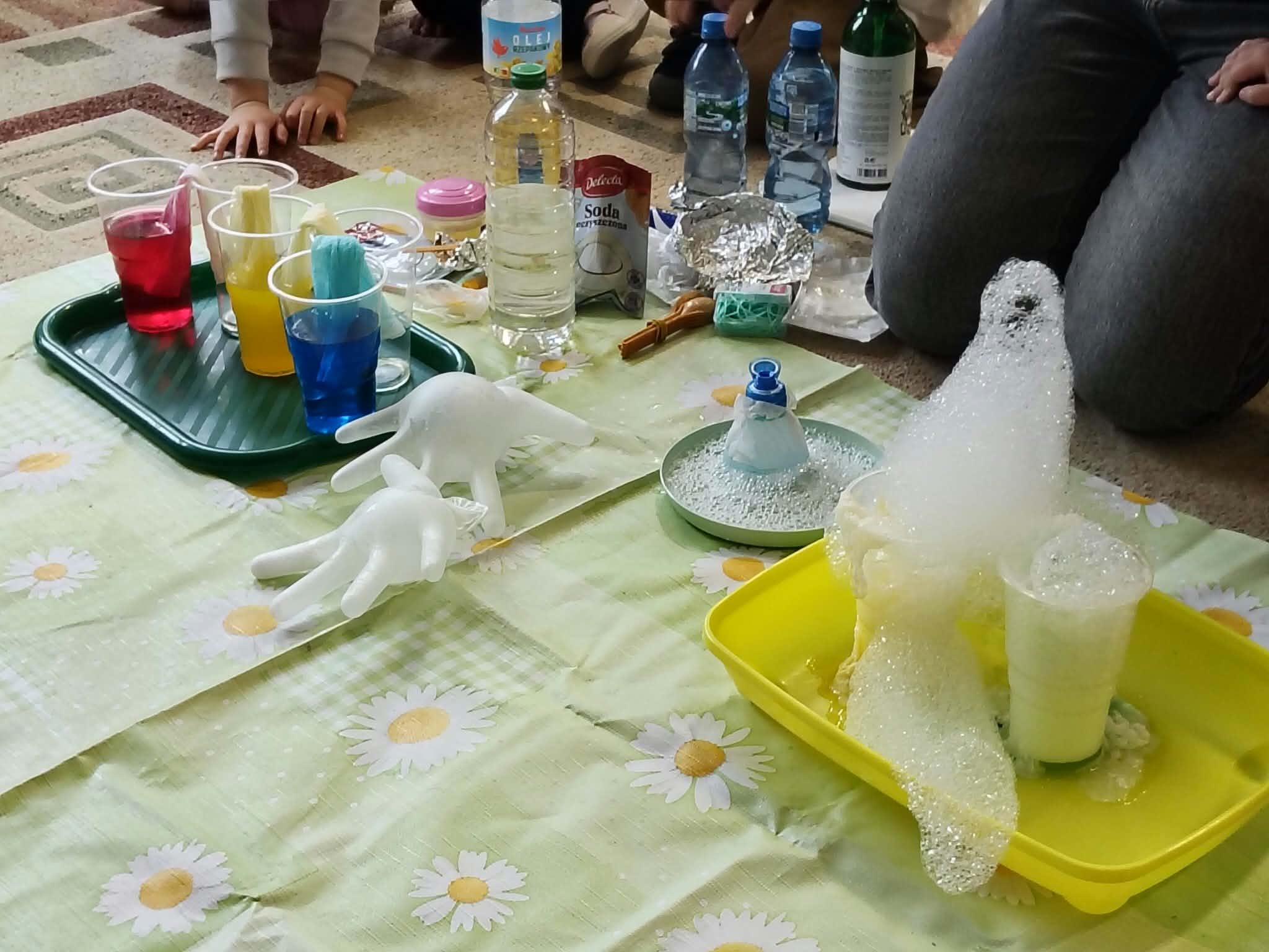 Eksperymenty mamy eksperta – Żabki